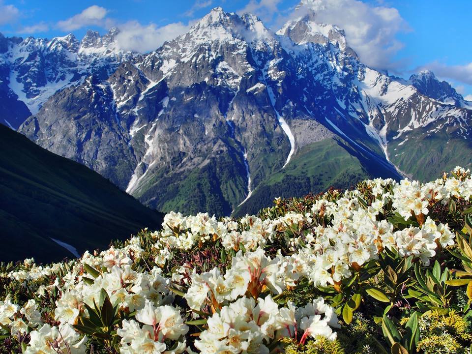 A foreign traveler offers a guide to trekking in Caucasus geotv.ge